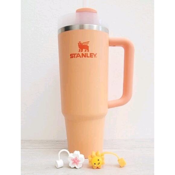 STANLEY WATER 30 OZ BACK TO SCHOOL WITH 2 STRAW COVERS - Picture 1 of 10